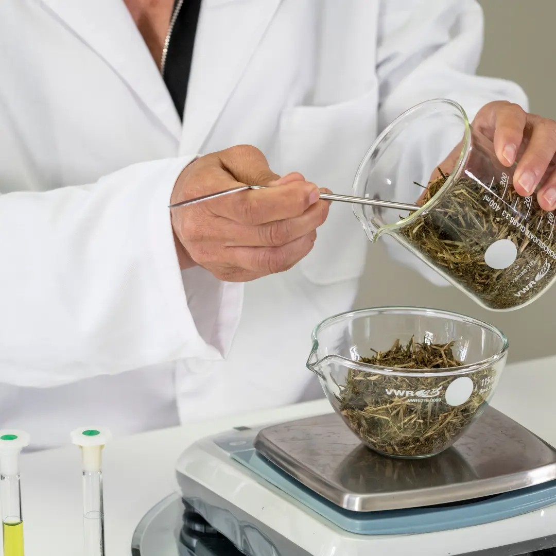 Préparation de l'avoine en laboratoire - A-Derma