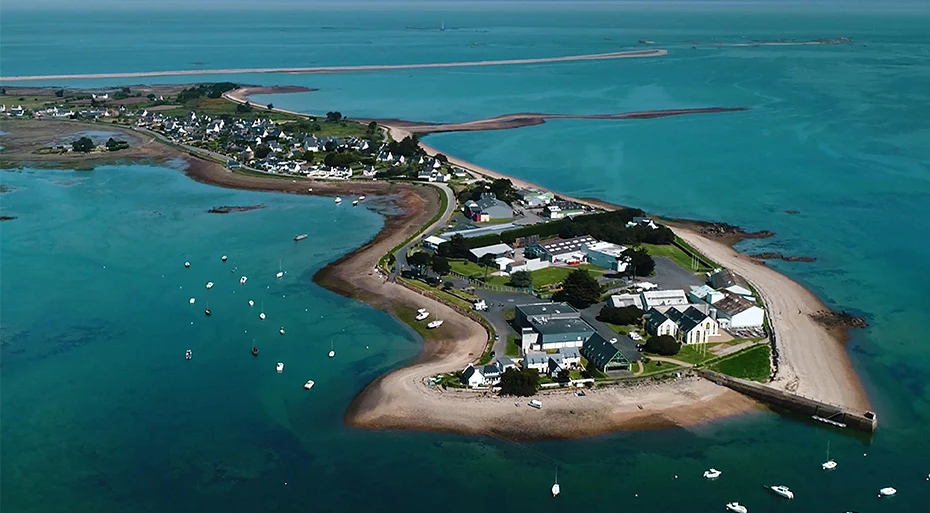 Algologie, presqu’île de Pen Lan en Bretagne