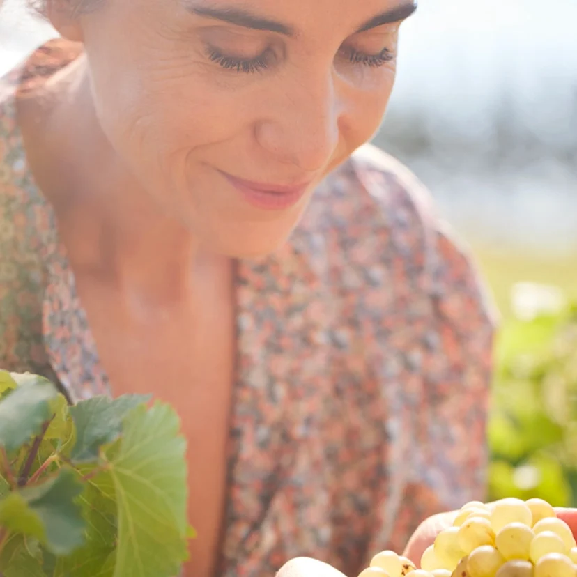 Vendanges Caudalie, grappe de raisin